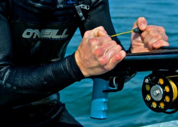 Spearfishing isn't for the faint of heart or weak of hand