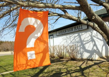 Springs Mystery Art Sale at Ashawagh Hall