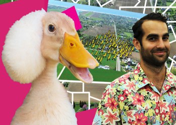 Tucker Marder and the Parrish Art Museum present Stampede this Saturday