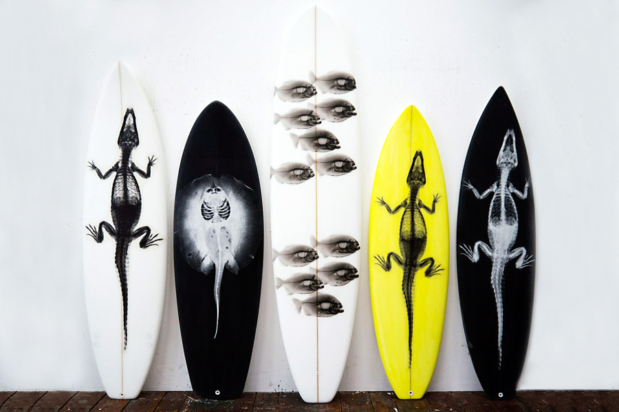 Steve Miller "Health of the Planet" Surfboards