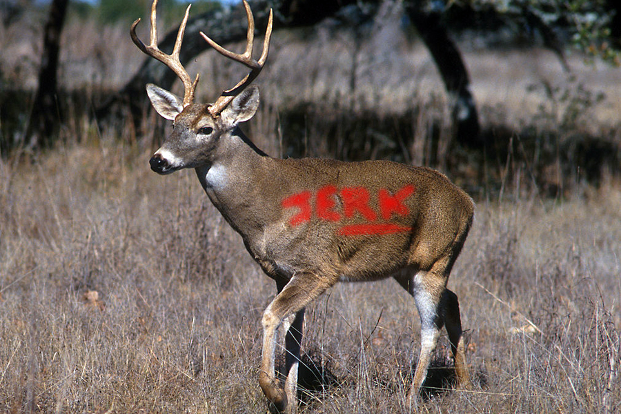 Steve the jerk deer is already marked for culling