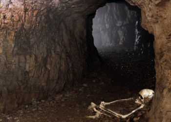 Hamptons Subway workers discovered this Skeleton in an unfinished tunnel, likely from 1932, this week