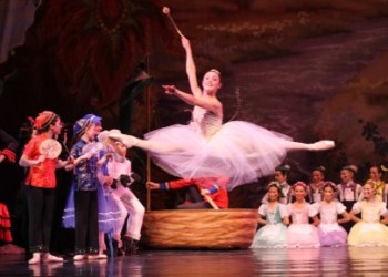 Sugar-Plum-and-Court-6014-434×289