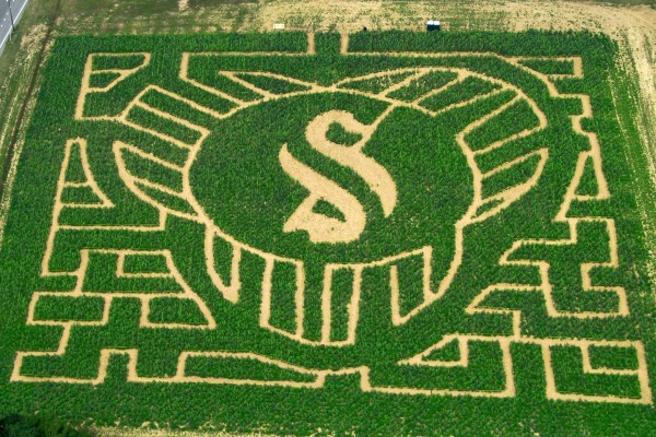 Sunflower Maze Arial