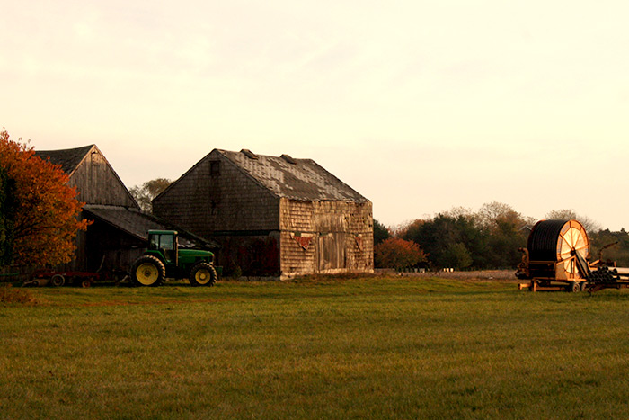 Sunset farm, Water Mill