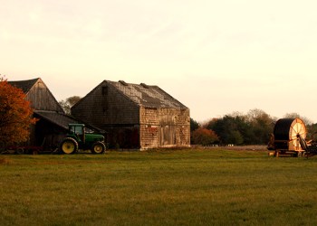 Sunset farm, Water Mill