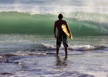 Surfer checking the waves