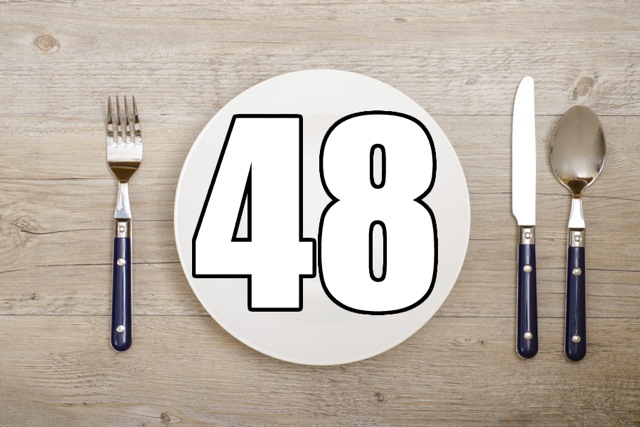 48 dinner plate
