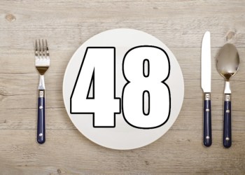 48 dinner plate