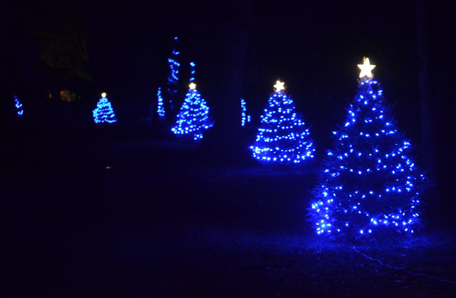 Blue lights on Three Mile Harbor, photo credit: Gabby Stephenson