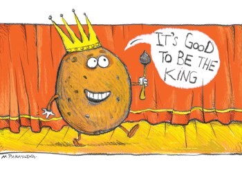 Tate's Cartoon by Mickey Paraskevas