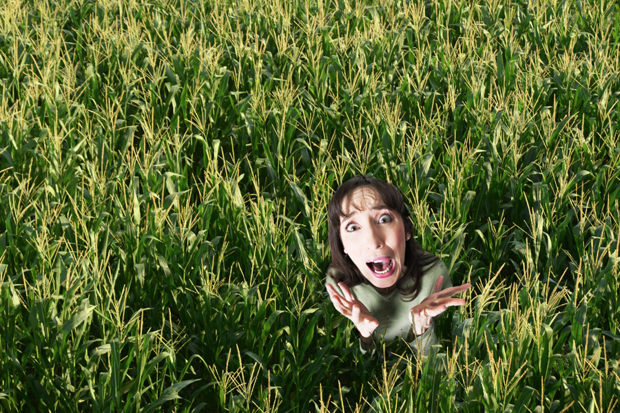 Teacher Lost in Corn Maze