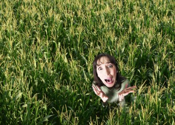 Teacher Lost in Corn Maze