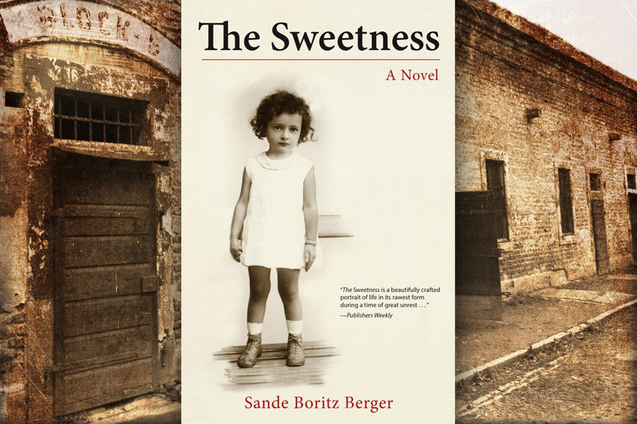 The Sweetness by Sande Boritz Berger