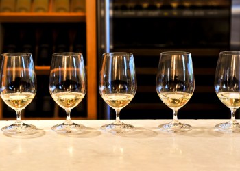 Hire and driver/sommelier for your next North Fork wine tour.