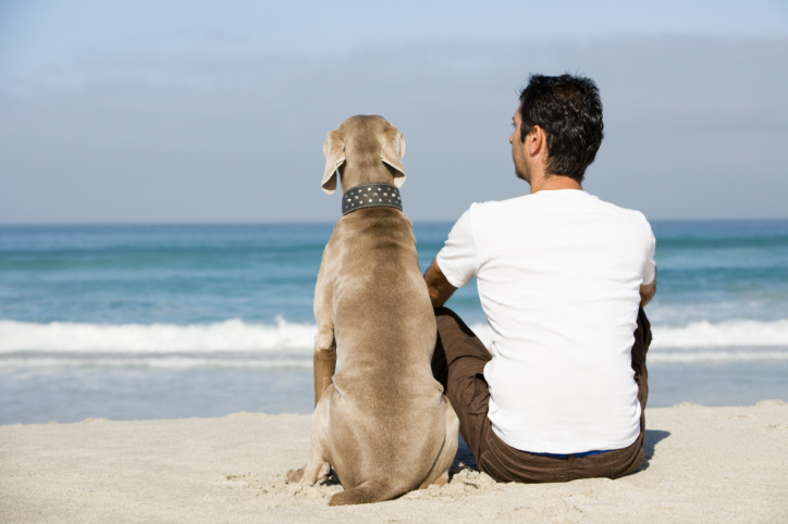 Man and dog sitting beach