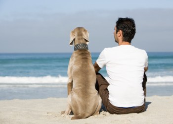 Man and dog sitting beach