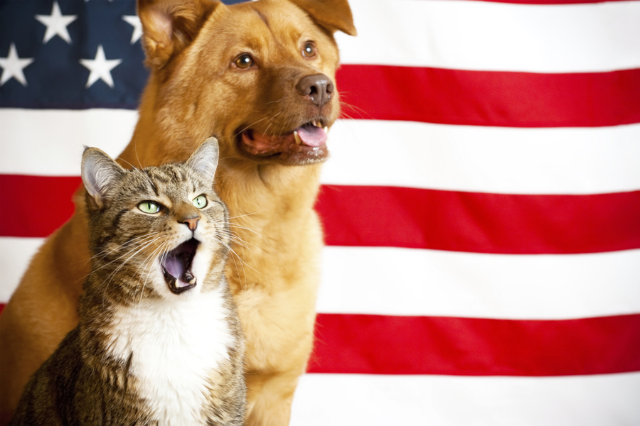 Join ARF for a Fourth of July celebration.
