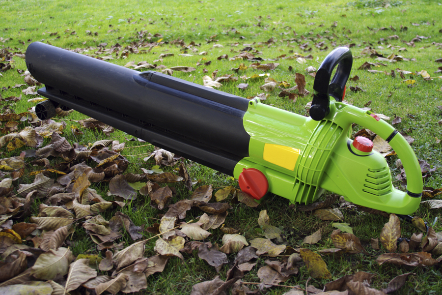 Leaf blowers blare noisily throughout the summer.