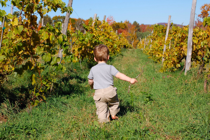 North Fork vineyards aren't just enjoyable for adult—kids can have a lot of fun too.