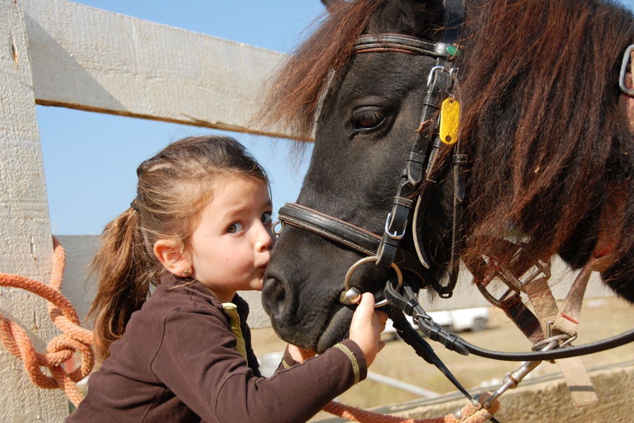 pony rides