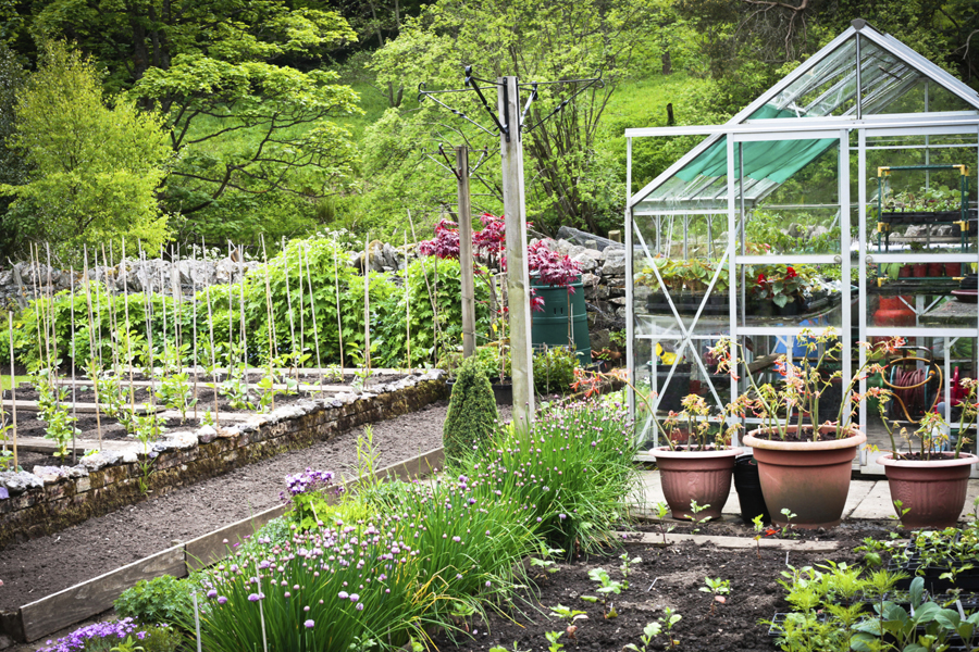 We who have allergies are in a “pollen tsunami.”