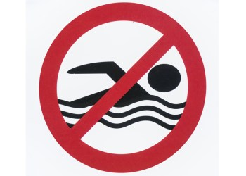 A cyanobacteria (blue–green algae) bloom had closed Maratooka Lake in Mattituck to swimming. Photo credit: FooTToo/iStock/Thinkstock