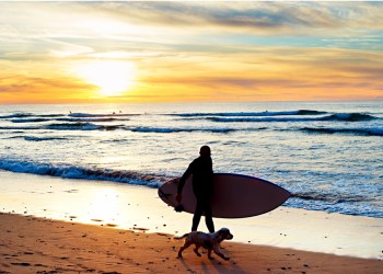 Surfer and dog