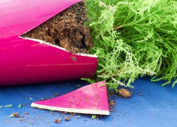 ThinkstockPhotos-471900616