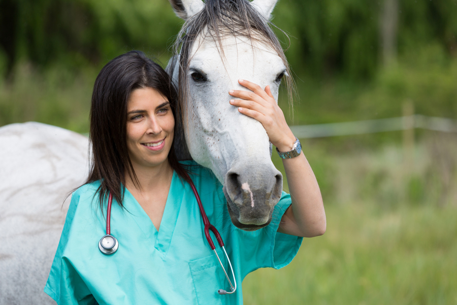 Equine veterinarians come to you.