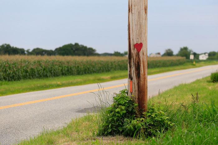 Love Long Island agriculture.