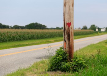 Love Long Island agriculture.