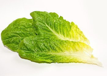 Romaine lettuce.