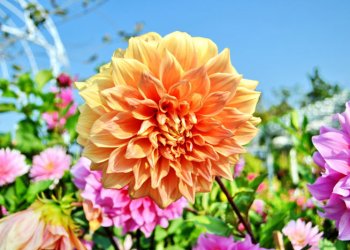 ThinkstockPhotos-483169033