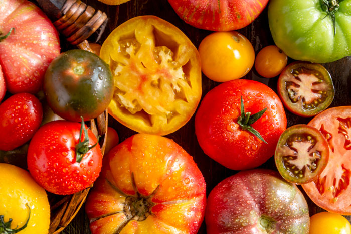 Heirloom tomatoes are self pollinating and their seeds have been reused every season for at least 50 years.