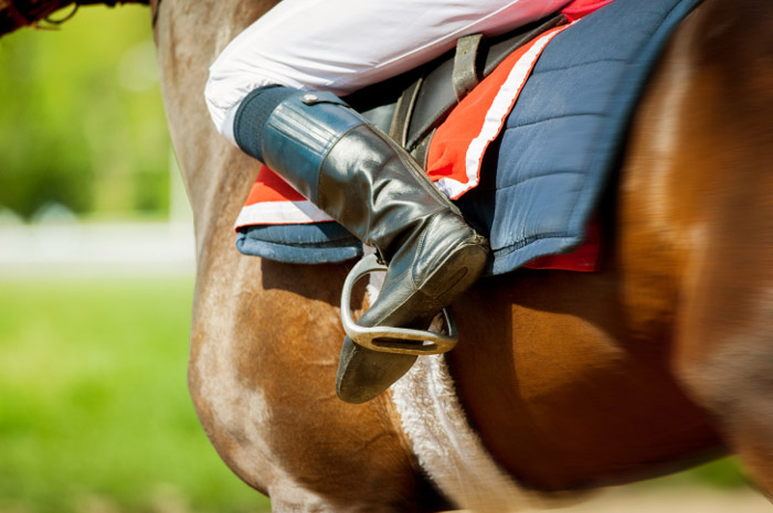 Saratoga is a revered equestrian destination.