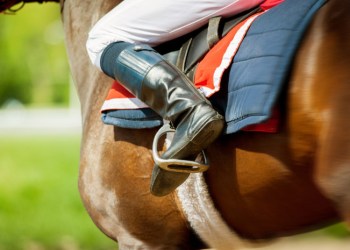 Saratoga is a revered equestrian destination.