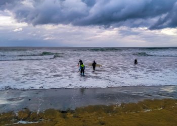 hamptons surf report