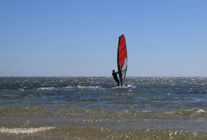 windsurfer