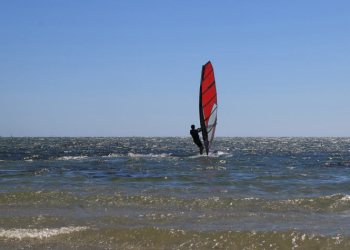 windsurfer