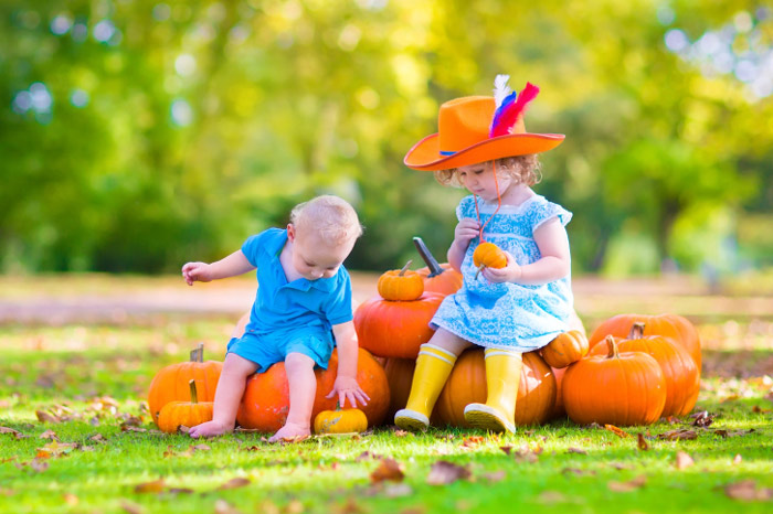 pumpkin picking