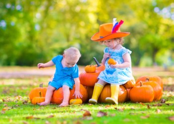 pumpkin picking