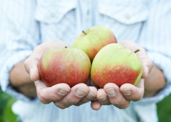 Go apple picking in the Hamptons this fall.