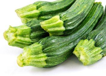 Zucchini