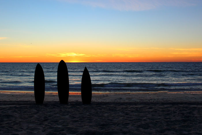 surf boards