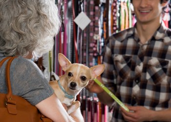 The Best of the Best pet shops are what your pet deserves.