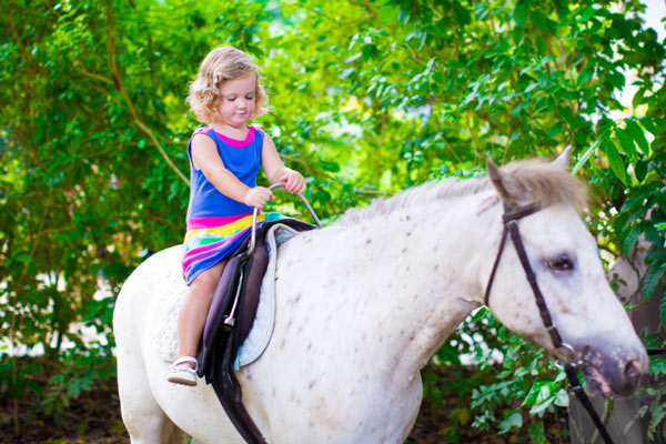 Take the kids to Pony Club!