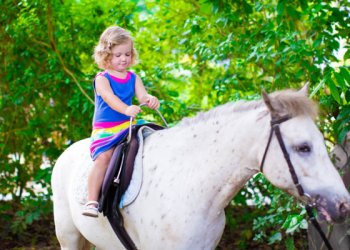 Take the kids to Pony Club!