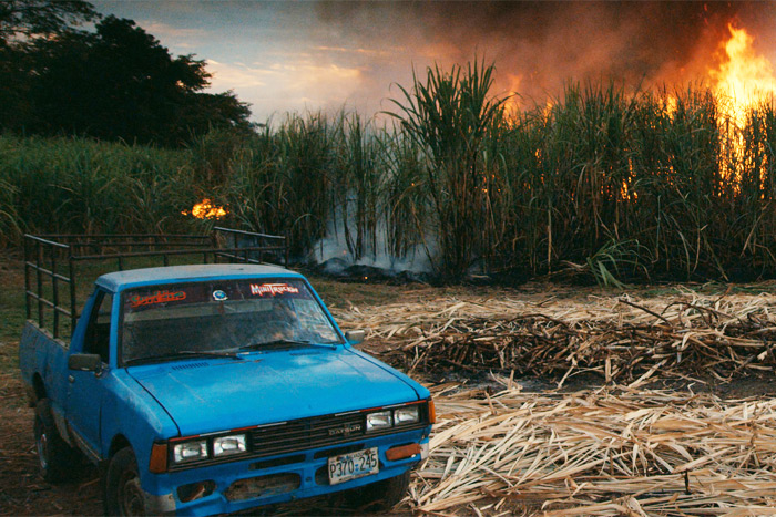 Burning Sugar Cane Field in El Salvador. Film still from "This Changes Everything,"