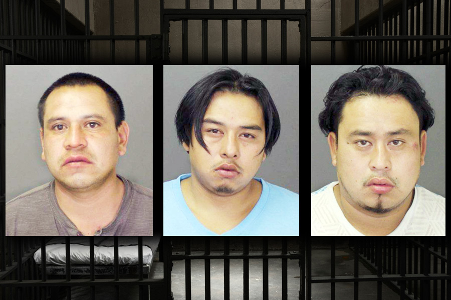 Ademi Velasqueznij, Adonia Estrada-Sinay and Santos L. Estrada-Sinay.